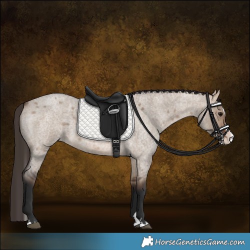 Horse Color:Bay Roan Dun Splash Varnish Rabicano