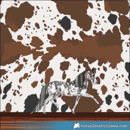 Horse Color:Brown Sabino 