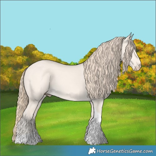 Horse Color:Perlino Dun Tobiano 