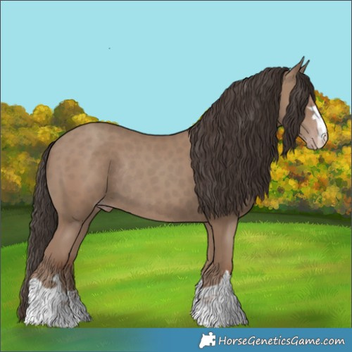 Horse Color:Classic Champagne Rabicano 