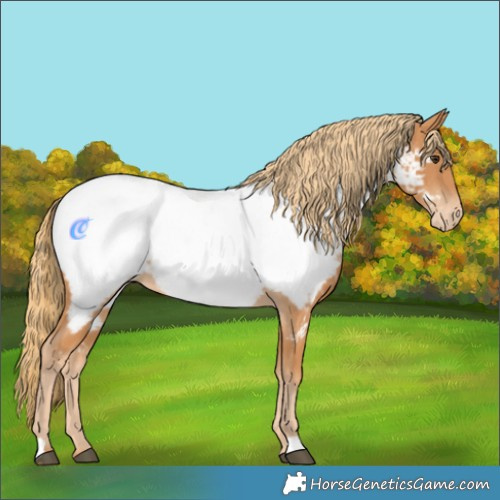 Horse Color:Chestnut Near Fewspot 