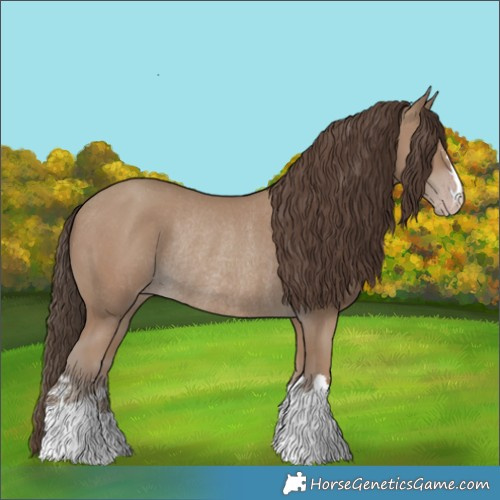 Horse Color:Classic Champagne Rabicano 
