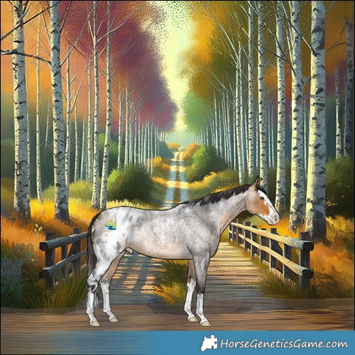 Horse Color:Powder White Buckskin Roan Splash Skewed LP Spotted 
