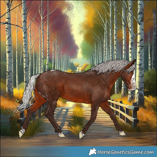 Horse Color:Silver Brown Splash Skewed LP Spotted 