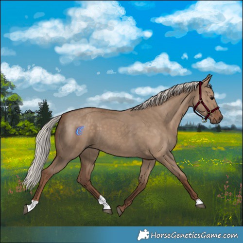 Horse Color:Silver Grullo