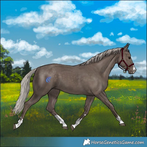 Horse Color:Silver Black 