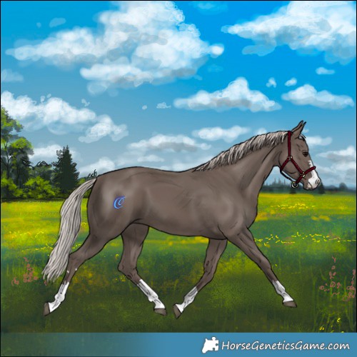 Horse Color:Silver Black 