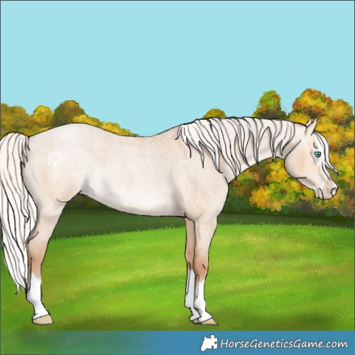 Horse Color:Silver Bay Roan Pearl Dun Splash 