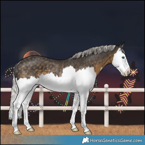 Horse Color:White Spotted Silver Smoky Black Splash Rabicano