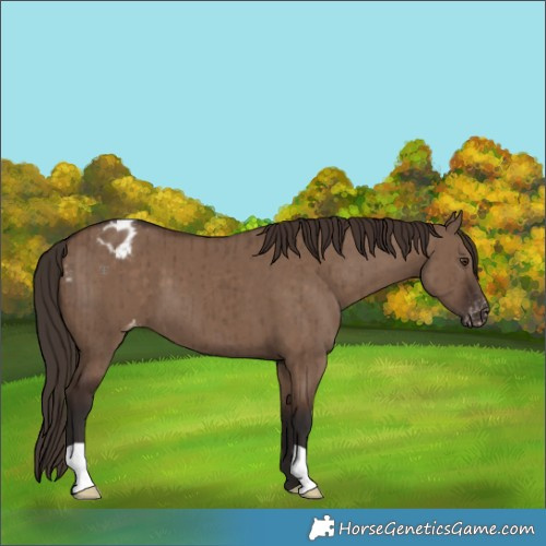 Horse Color:Liver Red Dun Varnish Brindle