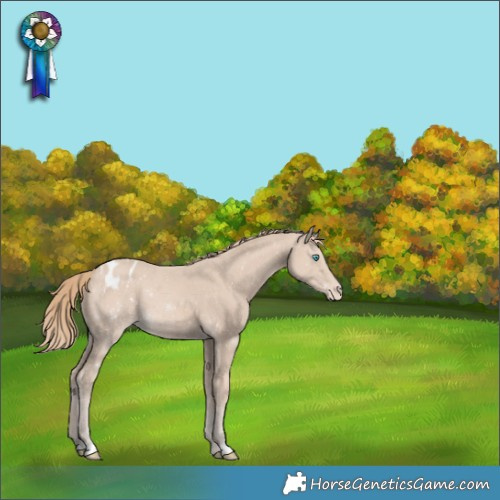 Horse Color:Smoky Creme Varnish 