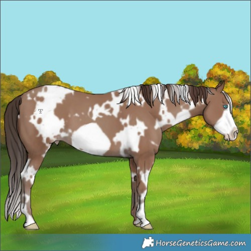 Horse Color:White Spotted Classic Champagne Frame 
