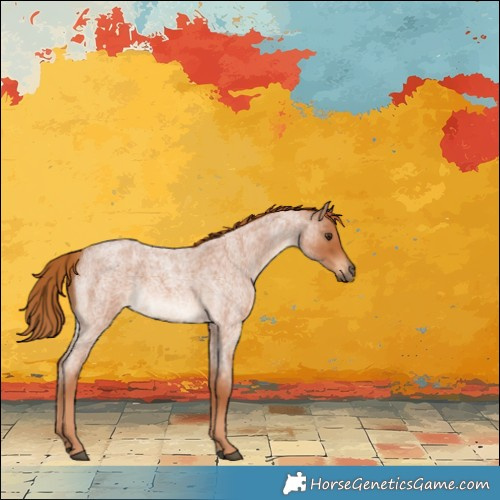 Horse Color:Red Roan