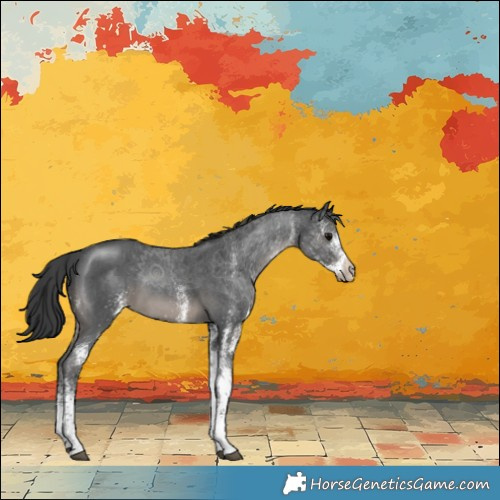 Horse Color:White Spotted Black