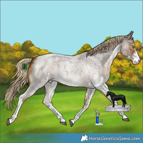 Horse Color:White Spotted Chocolate Palomino Roan
