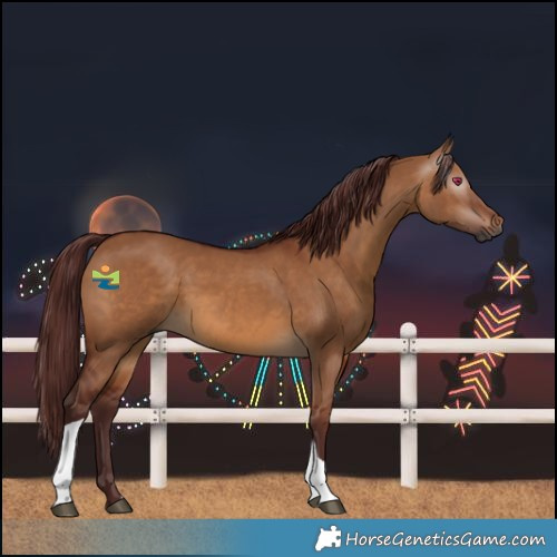 Horse Color:Gray Chocolate Bay Dun Tobiano 