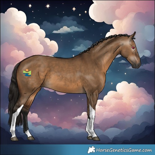 Horse Color:Gray Bay Dun Tobiano