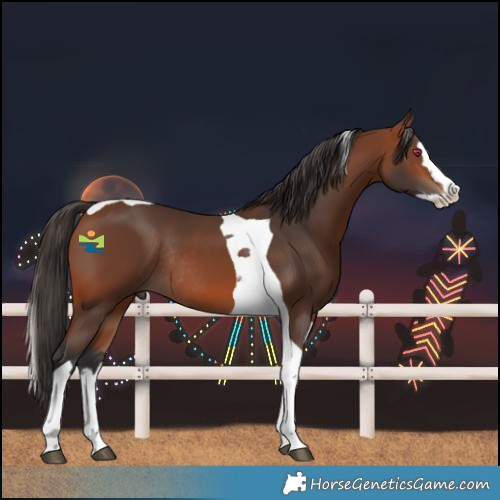 Horse Color:Bay Splash Tobiano Rabicano