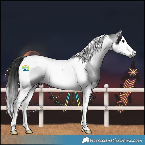 Horse Color:Gray Bay Chinchilla Onyx Splash Tobiano Rabicano 