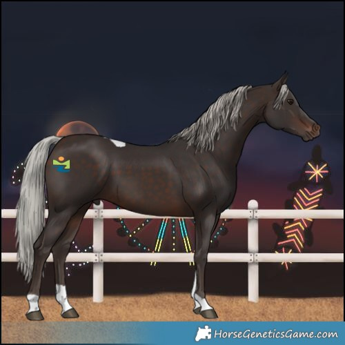 Horse Color:Silver Brown Tobiano