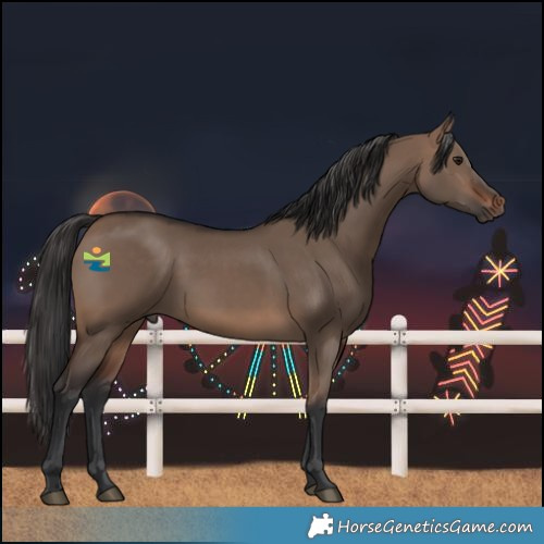 Horse Color:Brown Dun