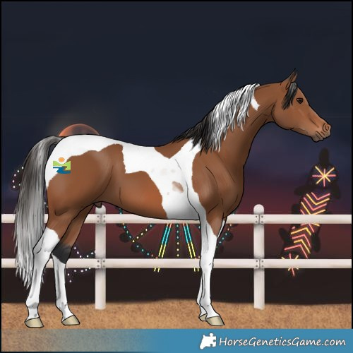 Horse Color:Bay Tobiano