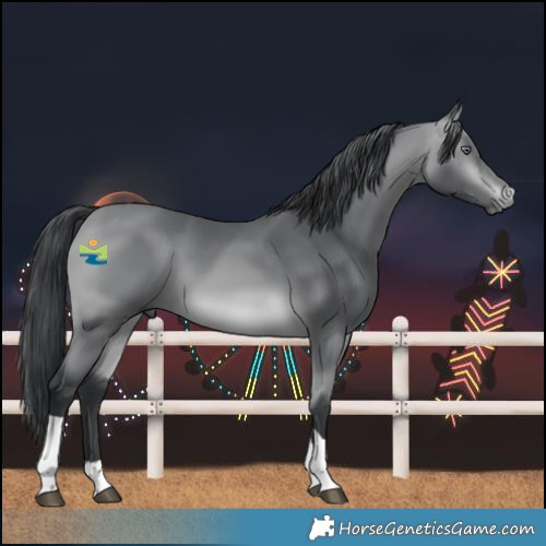 Horse Color:Bay Chinchilla Tobiano 