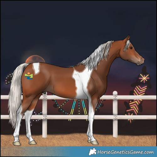 Horse Color:Silver Brown Tobiano