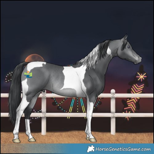 Horse Color:Brown Chinchilla Tobiano Rabicano 