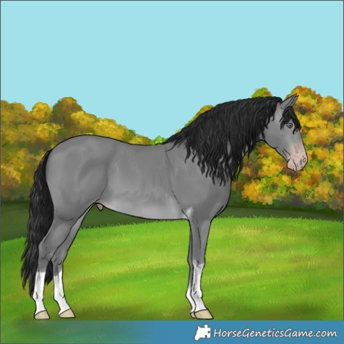 Horse Color:Gray Sable Champagne Chinchilla Tobiano 