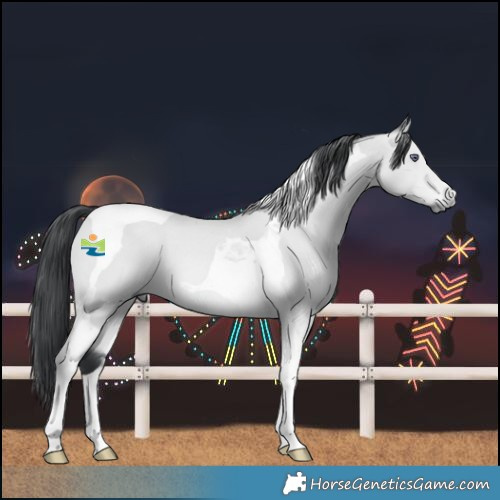 Horse Color:Bay Chinchilla Tobiano 