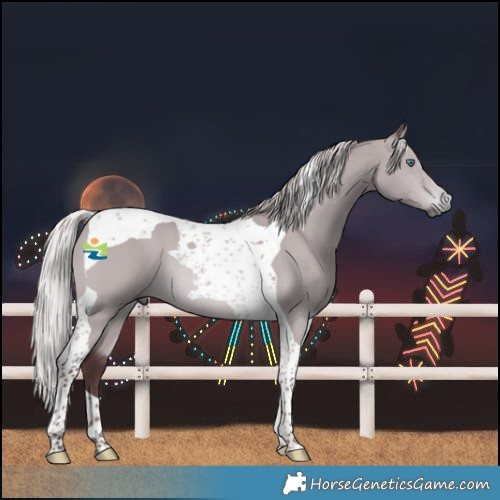 Horse Color:Chocolate Silver Bay Chinchilla Tobiano 