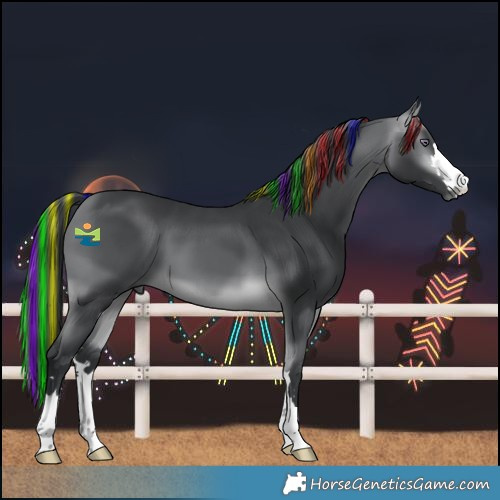 Horse Color:Painted Bay Chinchilla