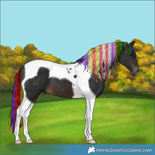 Horse Color:Painted Brown Tobiano 