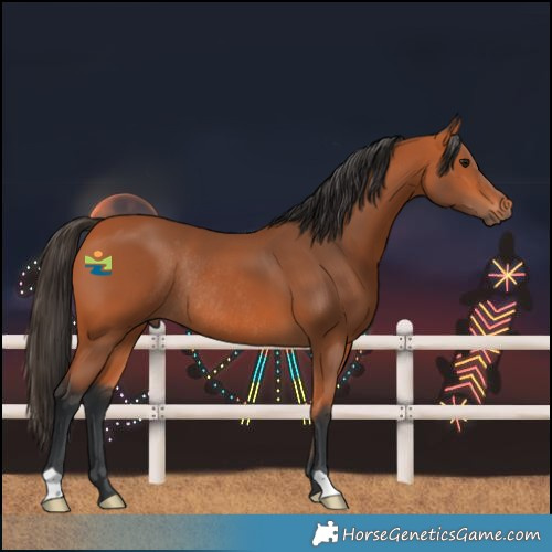 Horse Color:Bay Rabicano