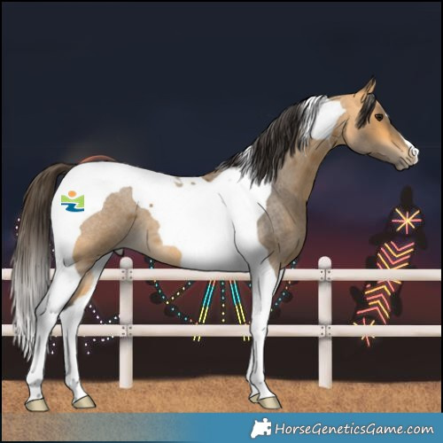 Horse Color:Buckskin Roan Tobiano