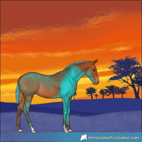Horse Color:Painted Silver Bay Rabicano