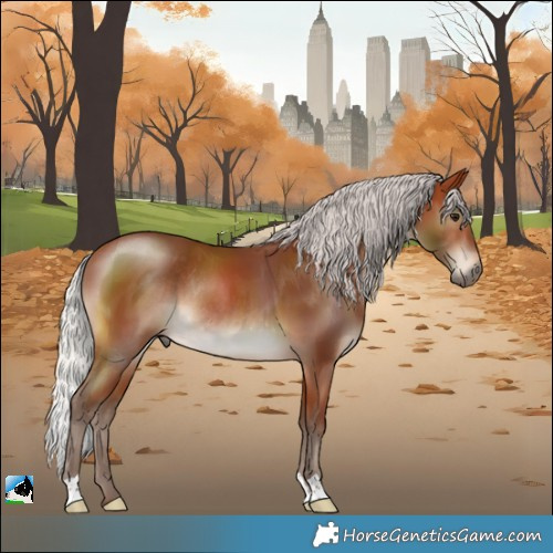 Horse Color:Silver Brown Rabicano 