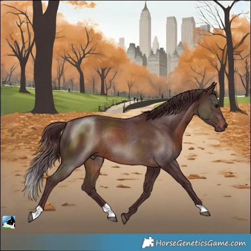 Horse Color:Chocolate Brown Rabicano 