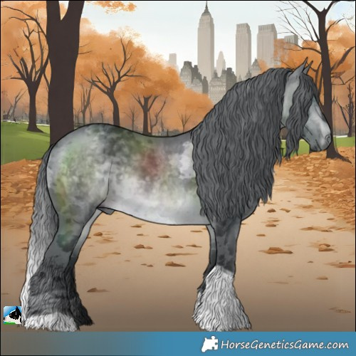 Horse Color:Brown Chinchilla Merle Tobiano