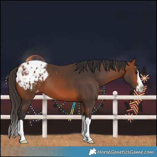 Horse Color:Bay Splash Blanket 
