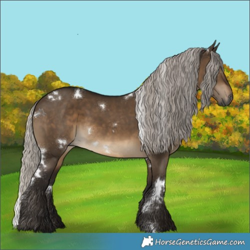 Horse Color:Gray White Spotted Silver Brown Dun
