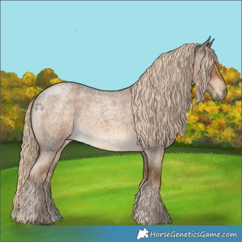 Horse Color:Chocolate Palomino Roan 