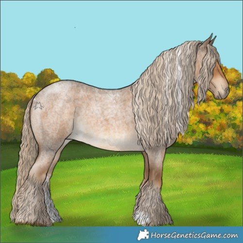 Horse Color:Powder White Chocolate Palomino Roan 