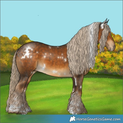 Horse Color:White Spotted Chocolate Palomino