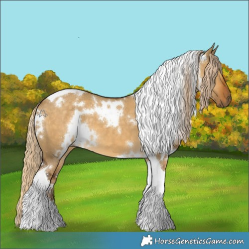 Horse Color:White Spotted Chocolate Palomino Dun Tobiano 