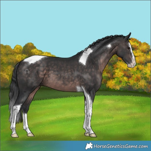 Horse Color:Platinum Brown Splash Tobiano
