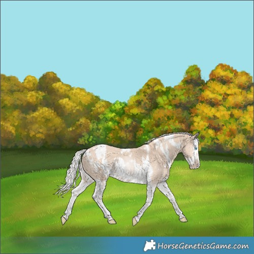 Horse Color:White Spotted Silver Perlino Splash Tobiano 
