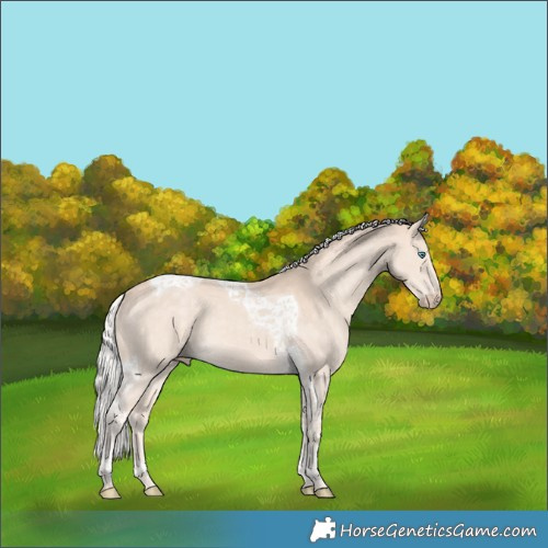 Horse Color:Silver Perlino Tobiano 