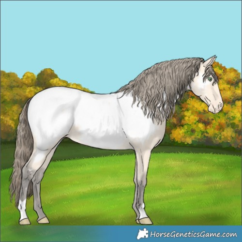 Horse Color:Amber Cream Champagne Near Fewspot 